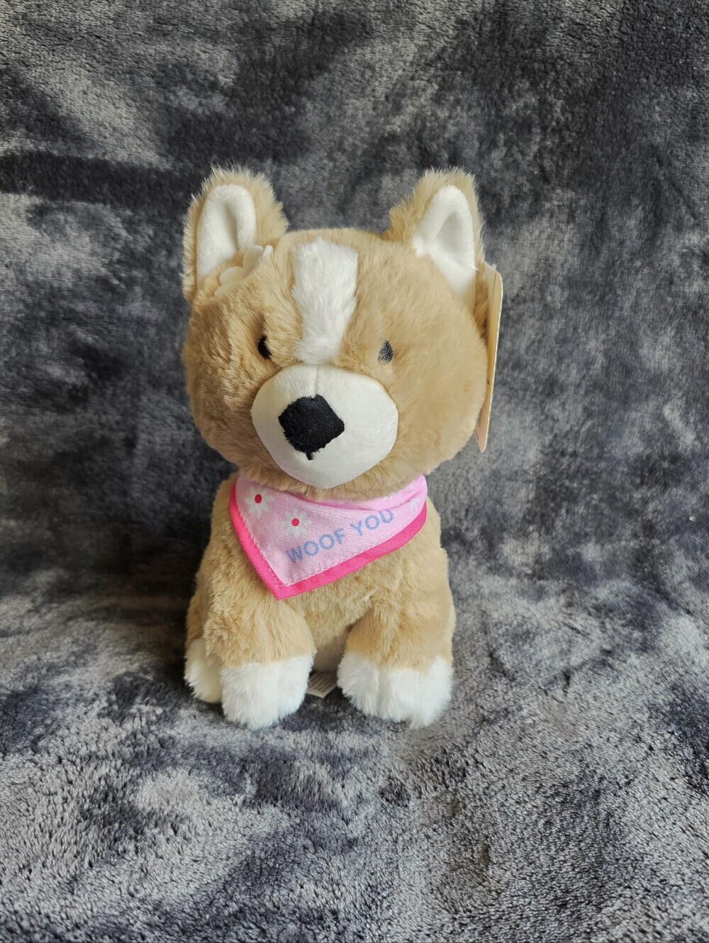 New American Greetings 8.25" Mother's Day 2026 Plush Spring Dog Corgi WOOF YOU